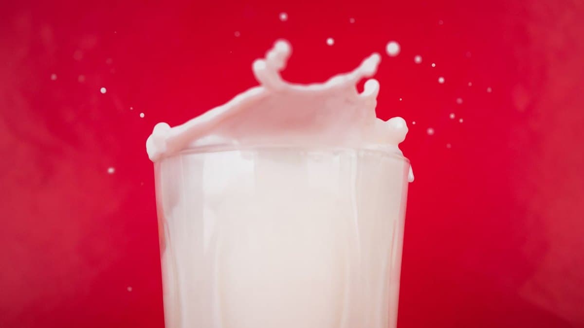 Bovine Colostrum: Hype or Real? What the 2026 Science Actually Says