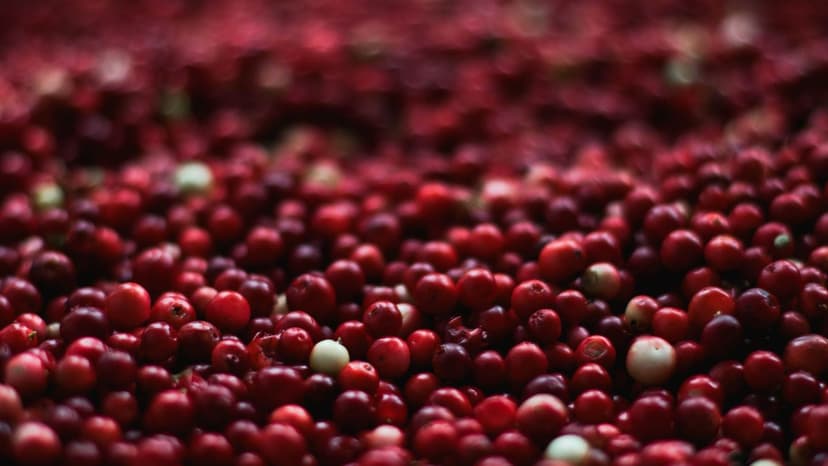 How to Prevent Recurring UTIs Naturally: Cranberry, D-Mannose and the Real Evidence