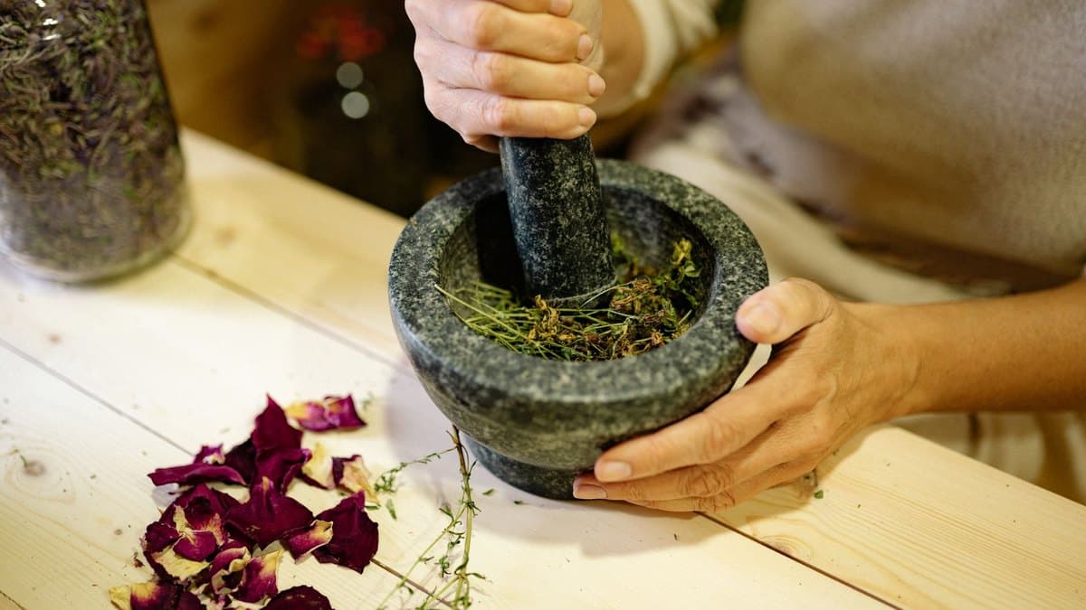 Ashwagandha vs Rhodiola: Which Adaptogen Is Right for Your Kind of Stress?