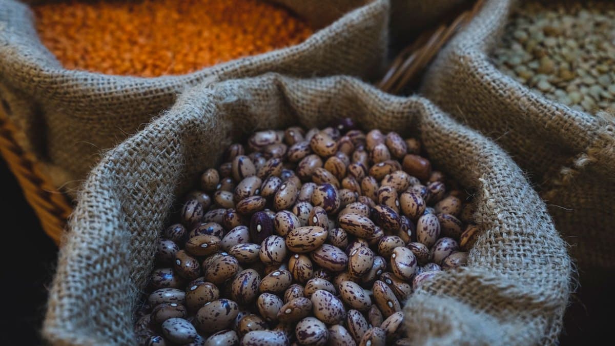 Best High-Fiber Foods for Appetite, Blood Sugar, and Steady Energy