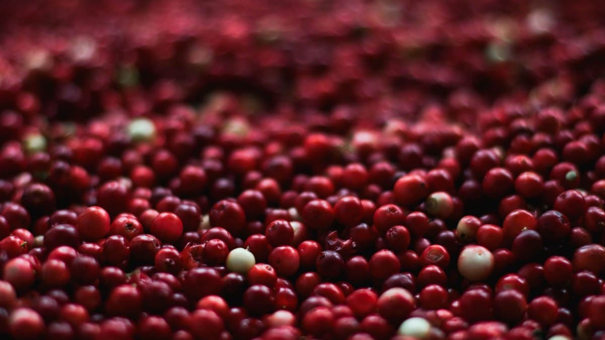How to Prevent Recurring UTIs Naturally: Cranberry, D-Mannose and the Real Evidence