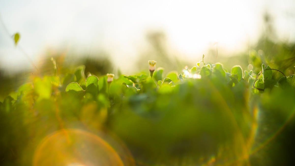 Vitamin D: How Much You Really Need, Signs of Deficiency, and Who Is at Risk