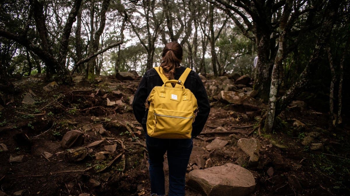 Why Walking Might Be the Most Underrated Workout There Is
